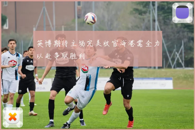 英博期待主场完美收官海港需全力以赴争取胜利