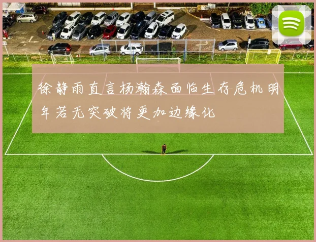 徐静雨直言杨瀚森面临生存危机明年若无突破将更加边缘化