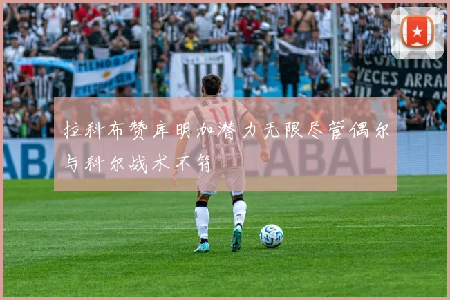拉科布赞库明加潜力无限尽管偶尔与科尔战术不符